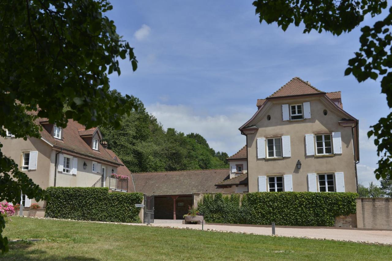 Maison d'Hôtes Les Jardins de Madeleine Bernardvillé Exterior foto